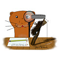 Homeschooling Oliver The Otter - The Caterpillar
