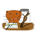 Homeschooling Oliver The Otter - The Cocoon