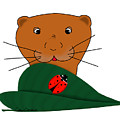 Oliver The Otter Studies a Ladybug