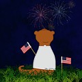 Oliver The Otter Watching Fireworks